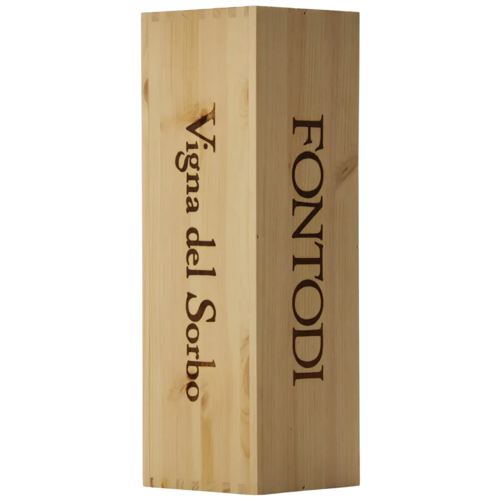 Fontodi Chianti Classico Vigna del Sorbo Gran Selezione 2019 Magnum