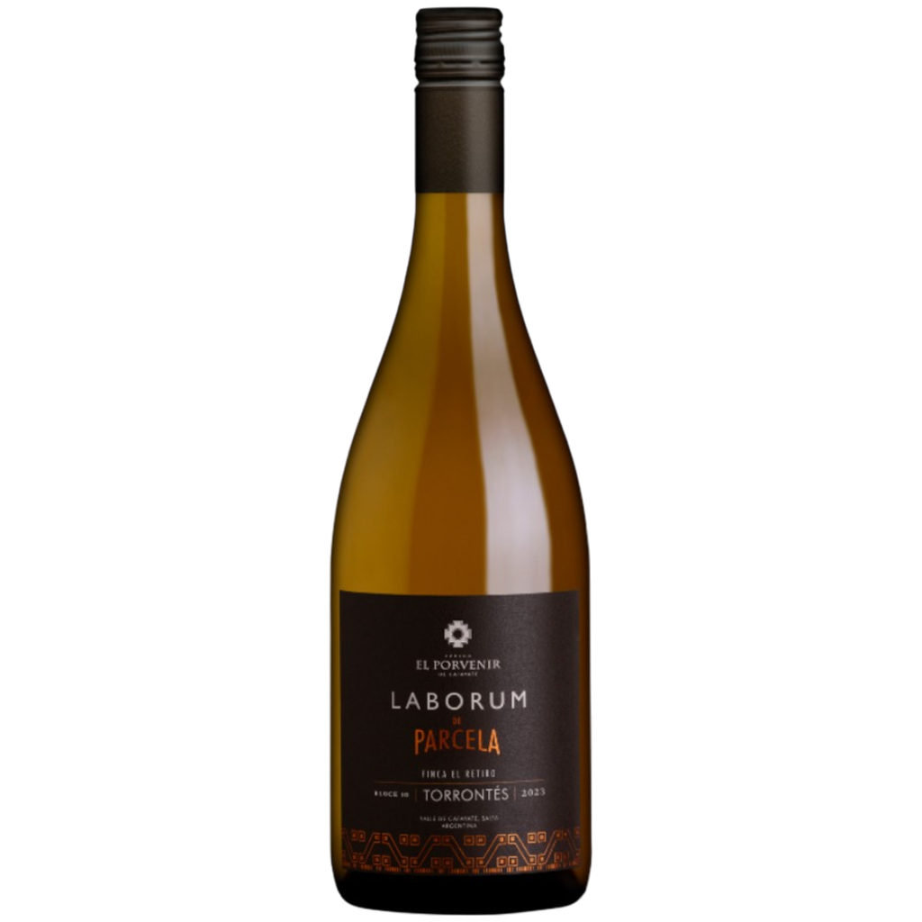 El Porvenir Laborum de Parcela Torrontés Finca El Retiro