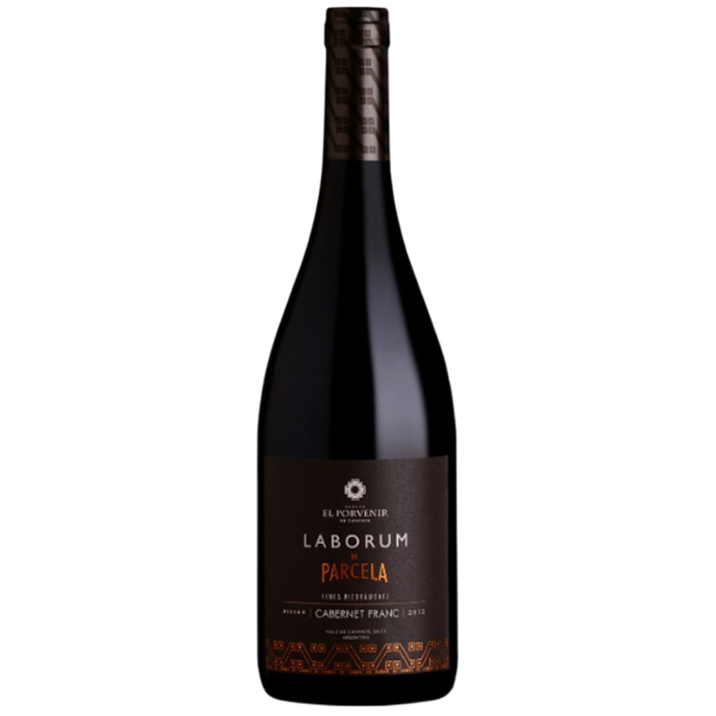 El Porvenir Laborum de Parcela Cabernet Franc Finca Piedramonte Block 6